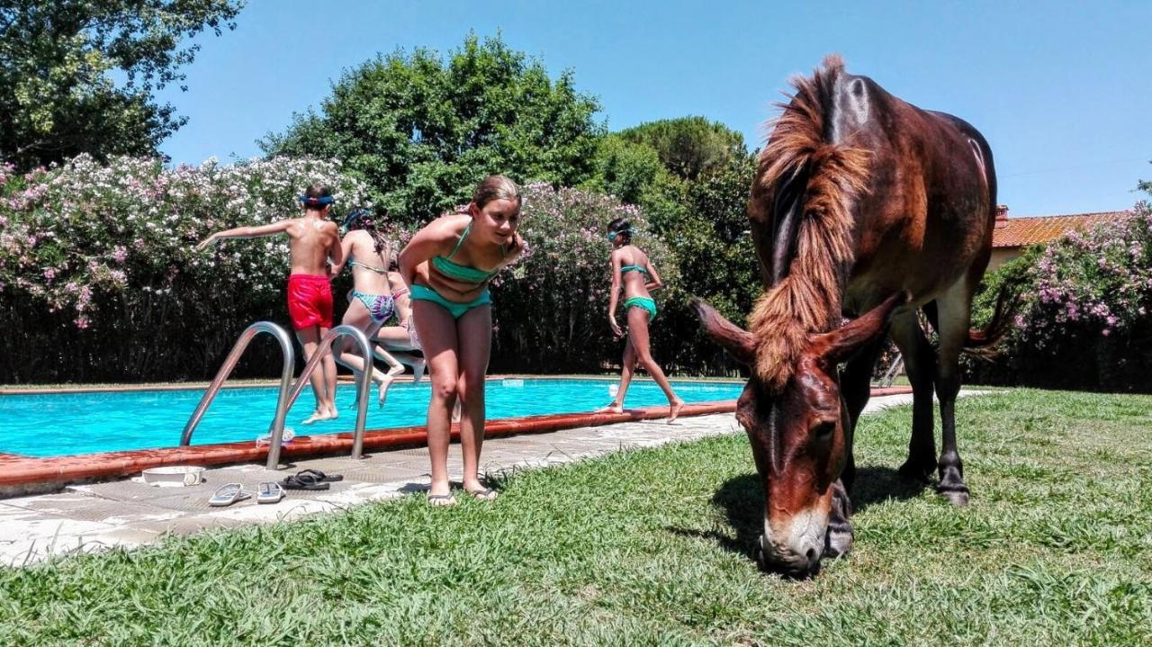 Agriturismo Il Bottaccino Monsummano Terme ภายนอก รูปภาพ