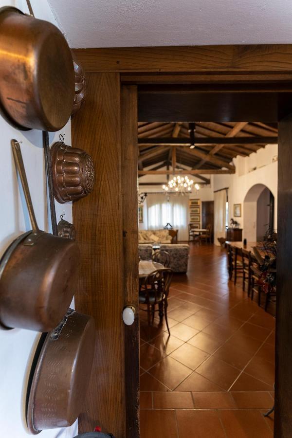 Agriturismo Il Bottaccino Monsummano Terme ภายนอก รูปภาพ
